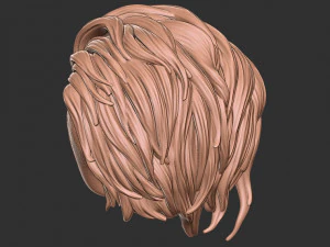Hair 40 3D Print Model