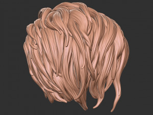 Hair 40 3D-Druckmodell