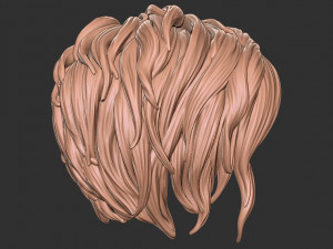 Hair 40 3D-Druckmodell
