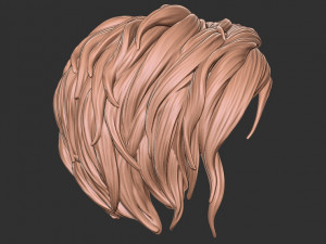 Hair 40 3D-Druckmodell