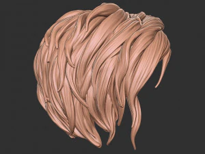 Hair 40 3D Print Model