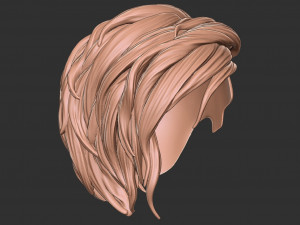 Hair 40 3D-Druckmodell