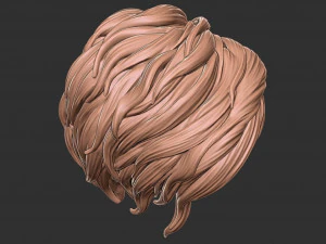 Hair 40 3D Print Model