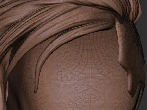 Hair 40 3D Print Model