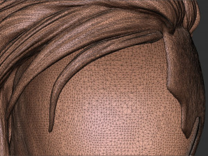Hair 40 3D-Druckmodell