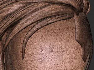 Hair 40 3D Print Model