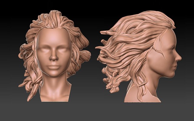 Hair 41 3D Принт Модель .c4d .max .obj .3ds .fbx .stl .blend 
