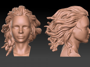 Hair 41 3D Print Model