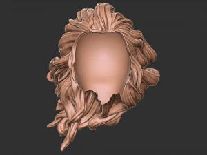 Hair 41 3D Print Model