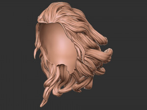 Hair 41 3D Принт Модель