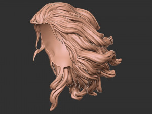 Hair 41 3D Принт Модель