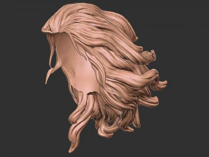 Hair 41 3D Print Model
