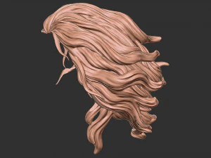 Hair 41 3D Print Model