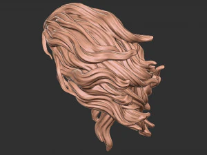 Hair 41 3D Print Model