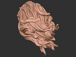 Hair 41 3D Print Model