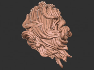 Hair 41 3D Принт Модель