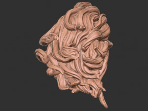 Hair 41 3D Print Model