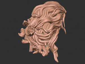 Hair 41 3D Print Model