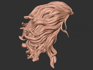 Hair 41 3D Принт Модель