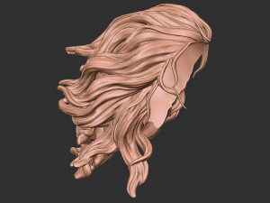 Hair 41 3D Принт Модель