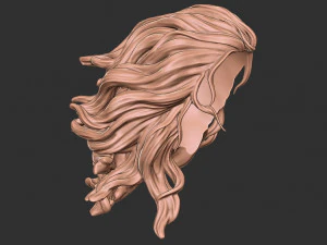 Hair 41 3D Print Model