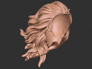 Hair 41 3D Print Model