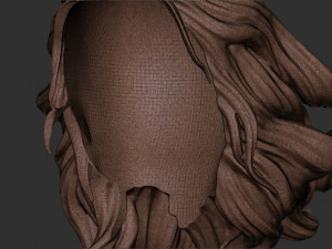 Hair 41 3D Принт Модель