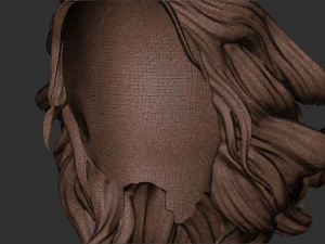 Hair 41 3D Print Model