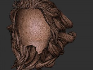 Hair 41 3D Принт Модель
