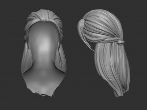 Hair 43 3D 프린트 모델