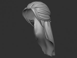 Hair 43 Modelo de Impressão 3D