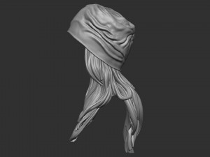 Cap with ladies hair 3D print model 3D 打印模型
