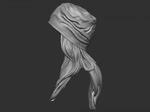 Cap with ladies hair 3D print model 3D Print Model