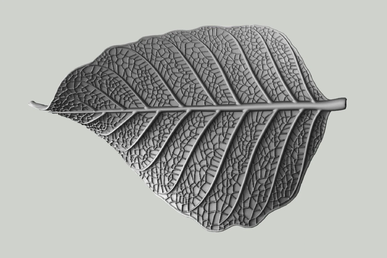 Leaf with vein 3D print model 3D Print Model .c4d .max .obj .3ds .fbx .stl .blend 