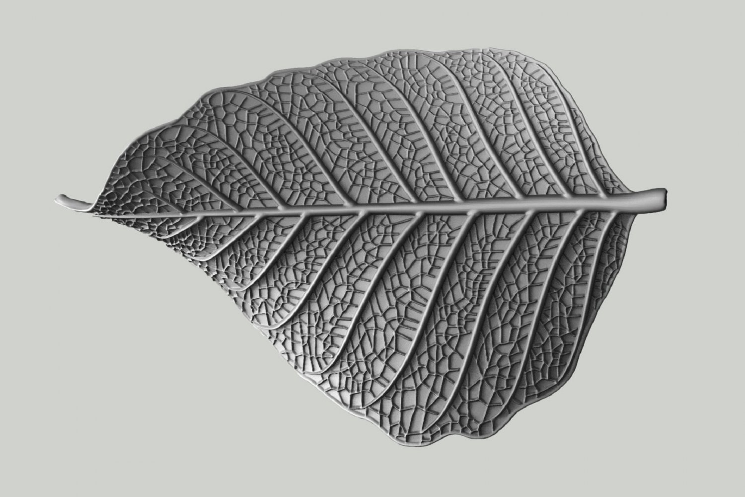Leaf with vein print model Model in 3DExport
