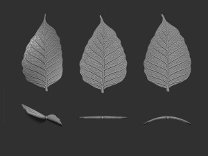 Leaf with vein 3D print model 3D प्रिंट मॉडल