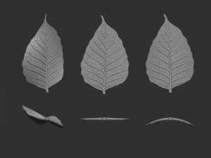 Leaf with vein 3D print model 3D Print Model