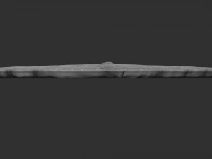 Leaf with vein 3D print model 3D Print Model