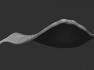 Leaf with vein 3D print model 3D प्रिंट मॉडल