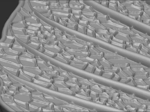 Leaf with vein 3D print model 3D Print Model