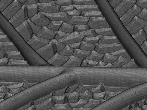 Leaf with vein 3D print model 3D प्रिंट मॉडल