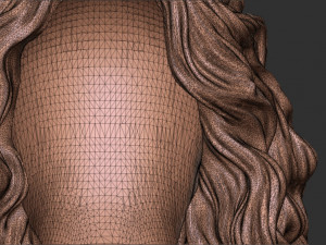 Hair 46 3D Print Model