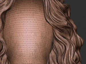Hair 46 3D Print Model