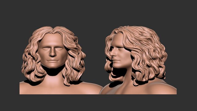 Hair 46 3D Print Model .c4d .max .obj .3ds .fbx .stl .blend 