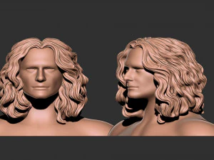 Cabelo 46 Modelo de Impressão 3D