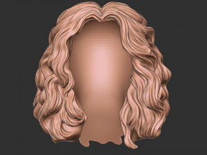 Hair 46 3D Print Model