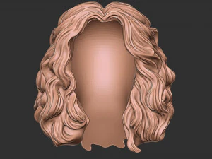 Hair 46 3D Print Model
