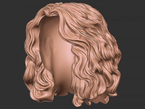 Hair 46 3D Print Model