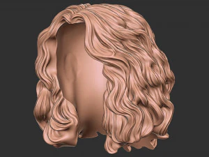 Hair 46 3D Print Model