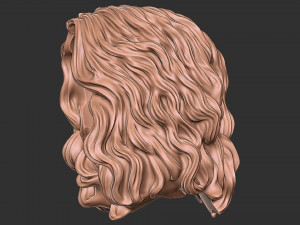 Hair 46 3D Print Model